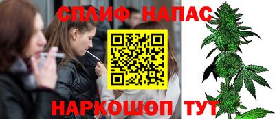 индика Заводоуковск