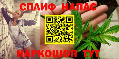 индика Заводоуковск