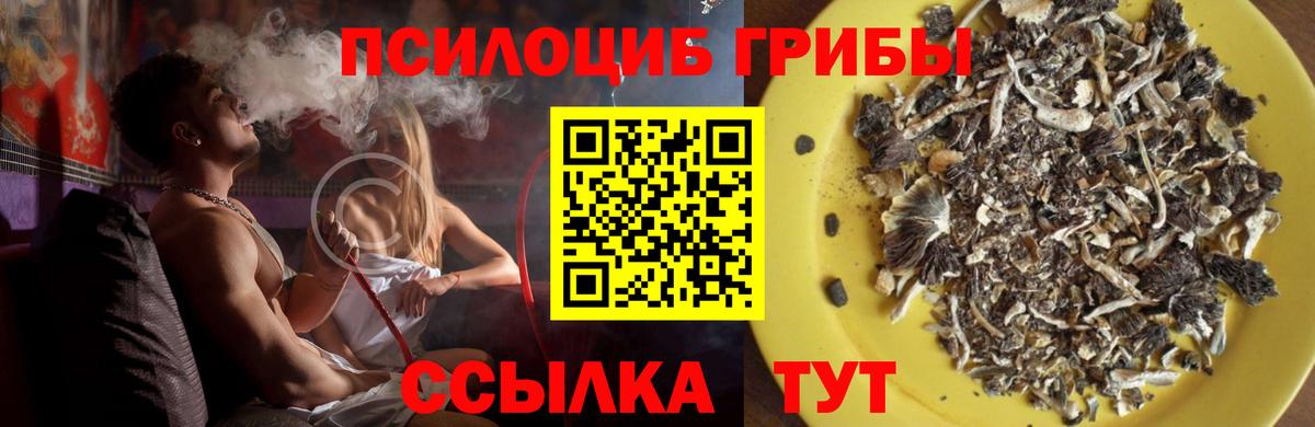Псилоцибиновые грибы прущие грибы Дальнереченск
