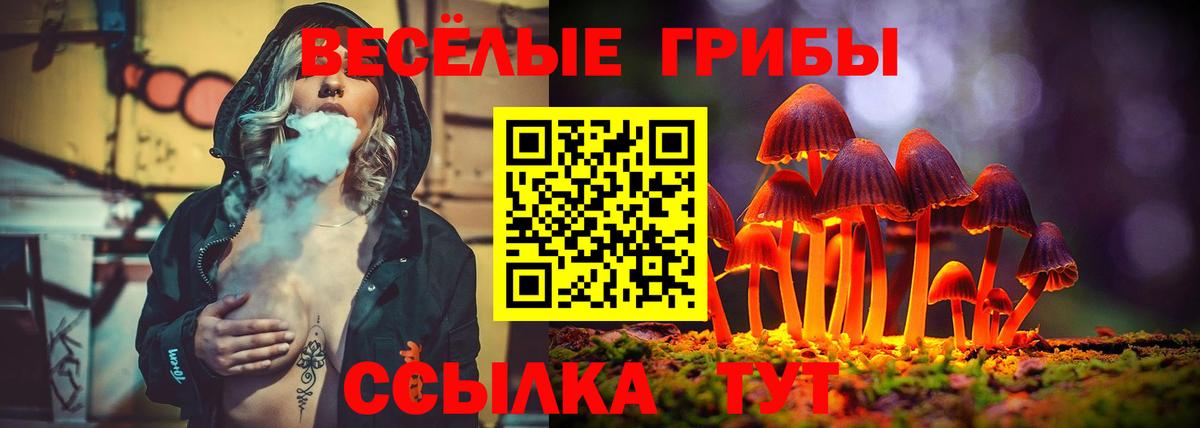 сколько стоит  Псилоцибиновые грибы Magic Shrooms  Вход с VPN  Дальнереченск  Галлюциногенные грибы MAGIC MUSHROOMS 